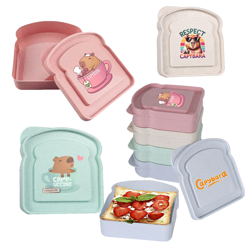Kotak Penyimpanan Makanan Sand - Food Storage With Dividers ulasan dan harga